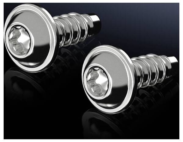Rittal 1485.300 1485300 Blechschrauben 50 St.