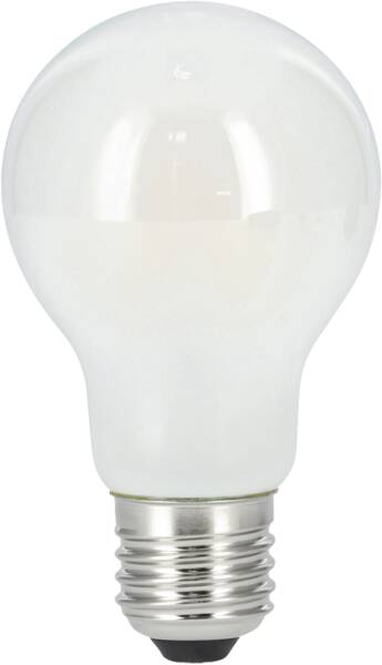 112806 A60 Fil Ma E27 1521lm ww dim