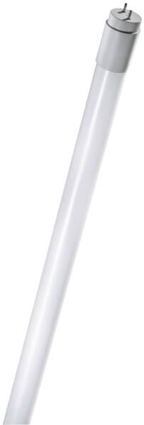112887 T8 0,6m LED Ma G13 1080lm tl Glas