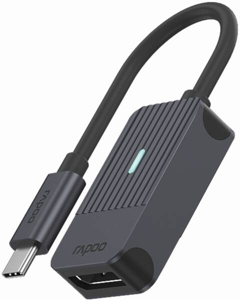 USB-C zu DisplayPort Adapter - Grau