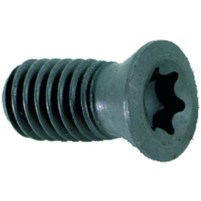 FORMAT - Schraube mit TORX 0174-Profil US 3007-TP09, 10 Stück