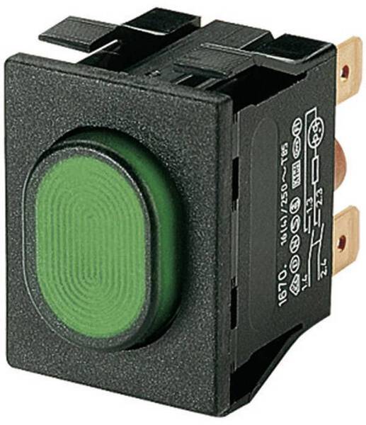 Marquardt 1670.5202 1670.5202 Druckschalter 250 V/AC 16 A 2 x Ein/Aus rastend Grün (L x B x H) 33 x 25 x 33 mm IP54 1 St