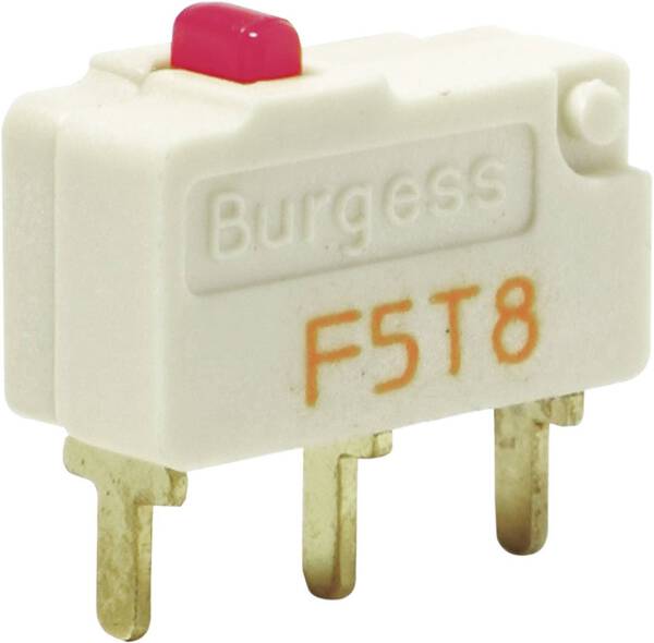 Burgess F5T8UL Mikroschalter F5T8UL 250 V/AC 5 A 1 x Ein/(Ein) IP40 tastend 1 St.