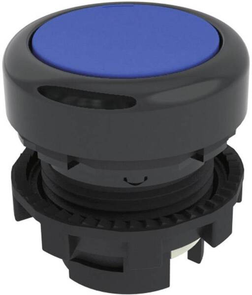 Pizzato Elettrica E21PU2R6210 E21PU2R6210 Drucktaster Blau 1 St.