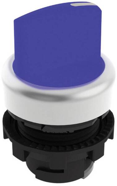 Pizzato Elettrica E21SL13ACH69AB E21SL13ACH69AB Wahltaste Blau 2 x 45 ° 1 St.